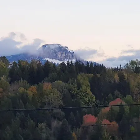 Dans Un Petit Village Entre Annecy - Geneve Apartment Cruseilles