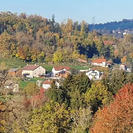 Dans Un Petit Village Entre Annecy - Geneve Apartment Cruseilles